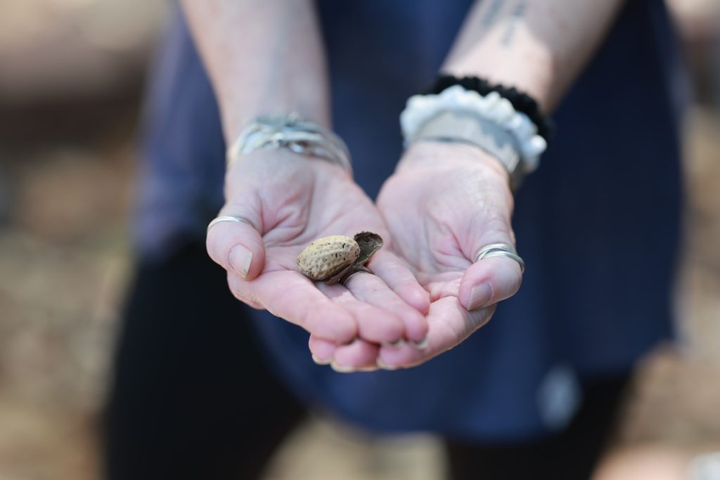 Suzy Johnson holds out a peanut shell she found in her yard, Oct. 4, 2025.