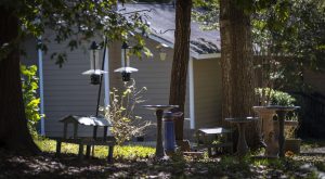 Troughs full of a tree nut blend, bird baths with water and overhead feeders decorate Kaya Manson’s front yard in Trotter Ridge