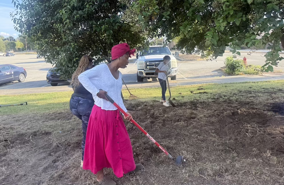 A woman uses a hoe to prepare a garden for planting.