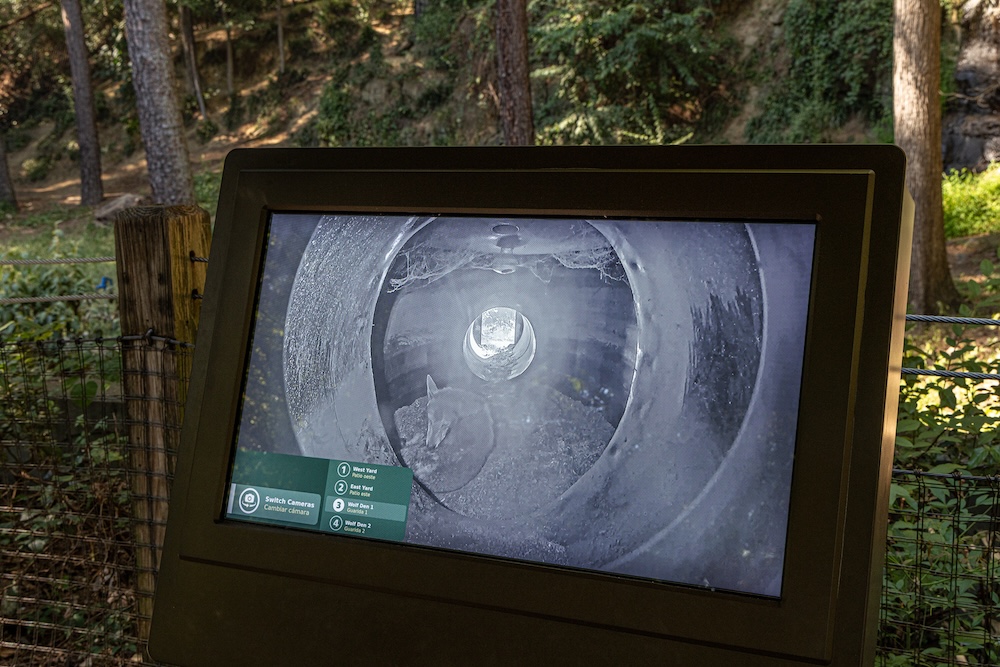 A view of a screen showing the wolf den
